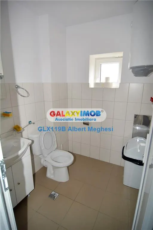 Vanzare Hala 1295 mp+teren 3300 mp Drumul Intre Tarlale/Oxigenului - foto 9
