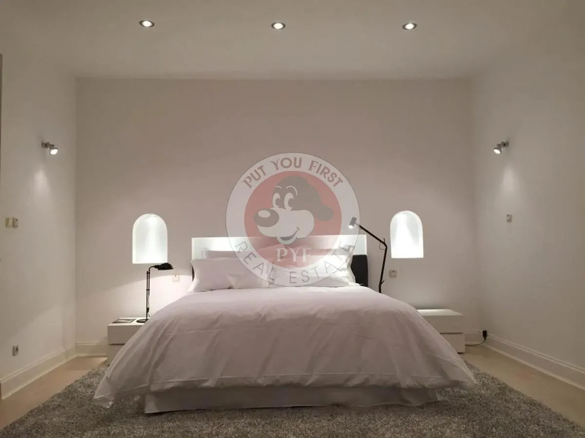Ambasada Siriei | 5 camere | 221mp | Duplex | B12404 - foto 3