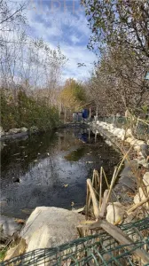 De Vanzare Vila de Lux - foto 6
