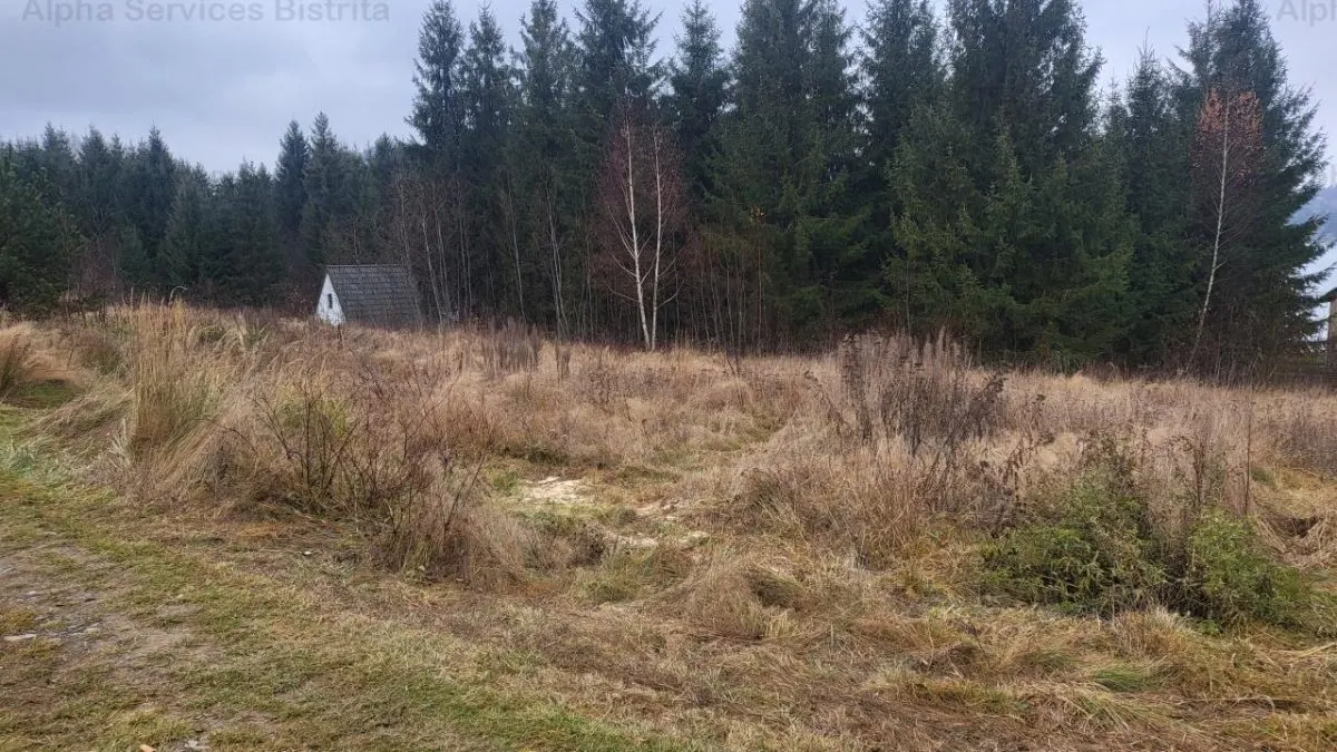 Teren de Vanzare Colibita iesire lac - foto 2