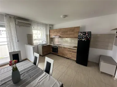 Apartament cu 2 camere, Nufarul de inchiriat - foto 7