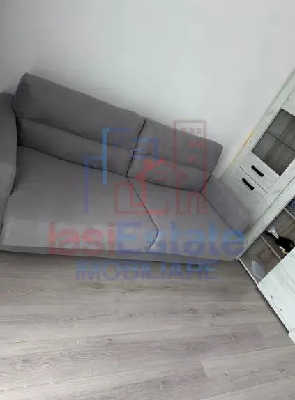 Apartament 1 camera Bucium - foto 2