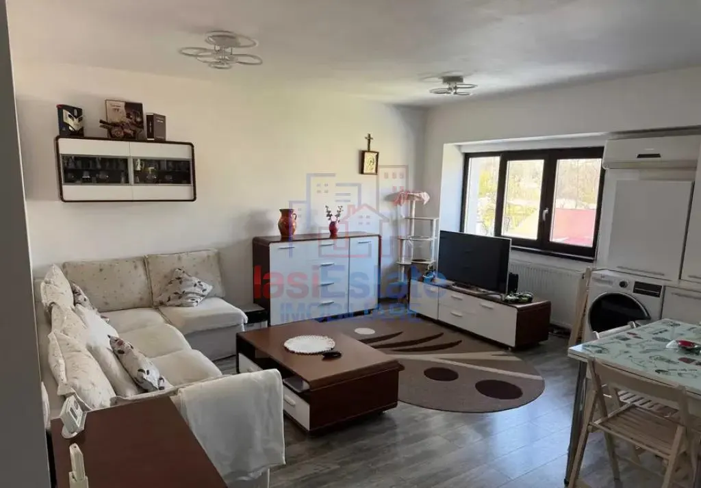 Apartament 3 camere zona Pacurari - foto 1