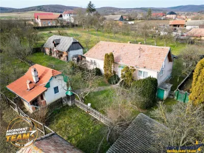FILM! 5.000mp teren intravilan cu casuta rustica, Dalnic, Covasna - foto 24