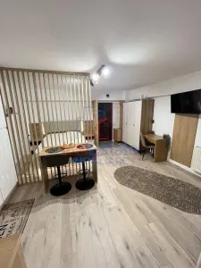 Apartament 1 camera Palas - Iasi