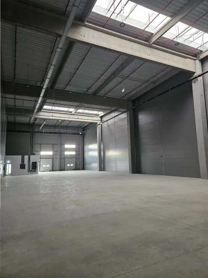 Spatii Industriale - 4500 mp - Logistica - Productie - Depozitare - foto 1