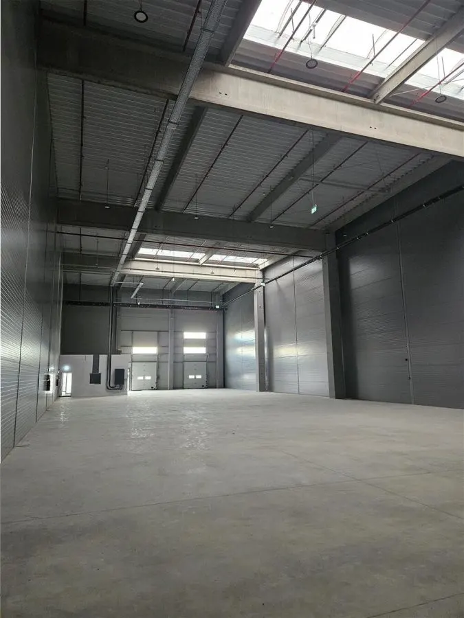 Spatii Industriale - 4500 mp - Logistica - Productie - Depozitare - foto 3