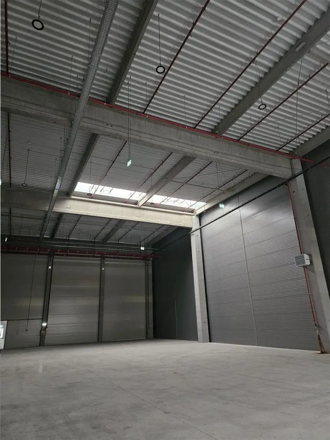 Spatii Industriale - 4500 mp - Logistica - Productie - Depozitare - foto 6