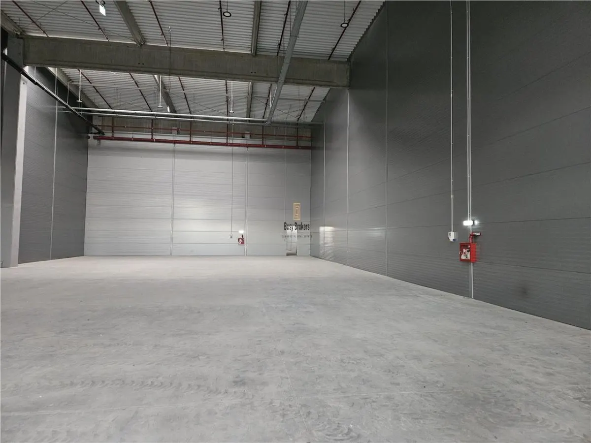 Spatii Industriale - 4500 mp - Logistica - Productie - Depozitare - foto 8