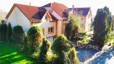 VIDEO | Domeniu privat la Padurea Noroieni | Vila D + P + M cu 9 camere | Curte, foisor, jacuzzi - foto 5
