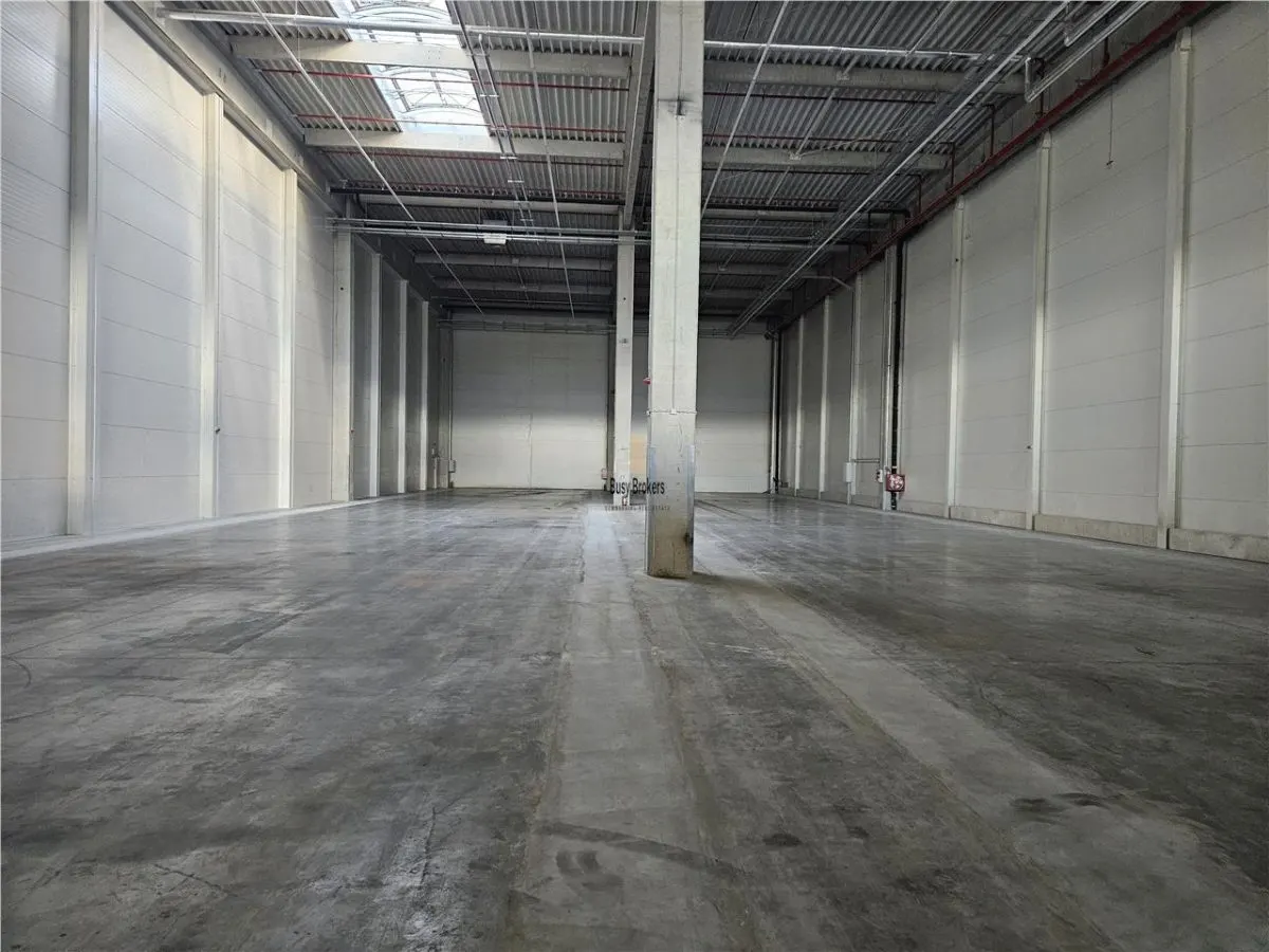 Spatii Industriale - 7000 mp - Logistica - Productie - Depozitare - foto 15