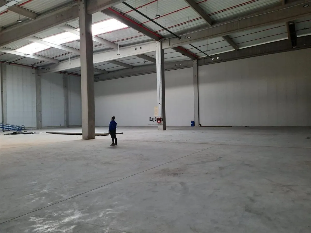 Spatii Industriale - 7000 mp - Logistica - Productie - Depozitare - foto 7
