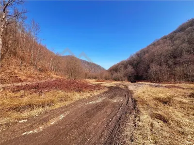 1,10 ha teren intravilan in Baita - foto 9