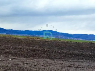 Teren Agricol, Cristian - foto 14