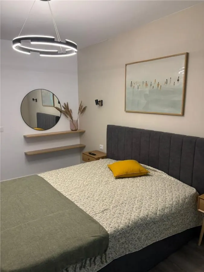 2 camere decomandate, lux - foto 12