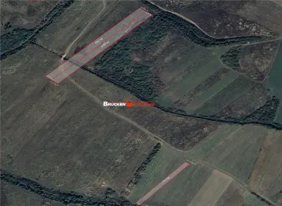 Teren arabil de vanzare â€“ 2,34 ha (23.400 mp) â€“ Husasau de Tinca-BH - foto 3
