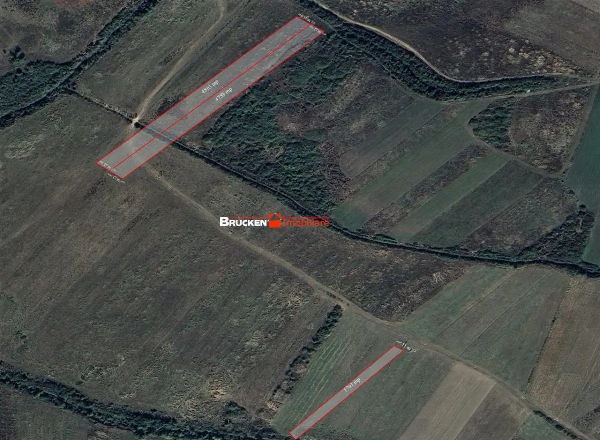 Teren arabil de vanzare â€“ 2,34 ha (23.400 mp) â€“ Husasau de Tinca-BH - foto 3