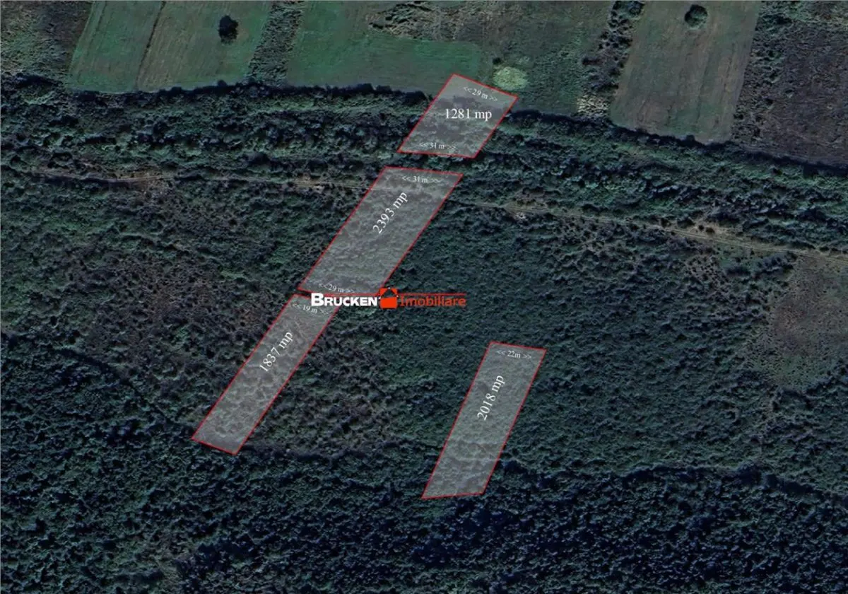 Teren arabil de vanzare â€“ 2,34 ha (23.400 mp) â€“ Husasau de Tinca-BH - foto 4