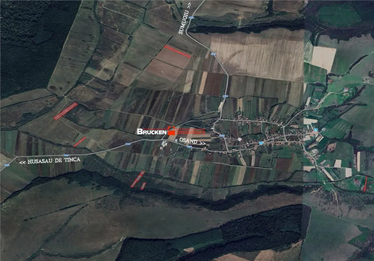 Teren arabil de vanzare â€“ 2,34 ha (23.400 mp) â€“ Husasau de Tinca-BH - foto 7