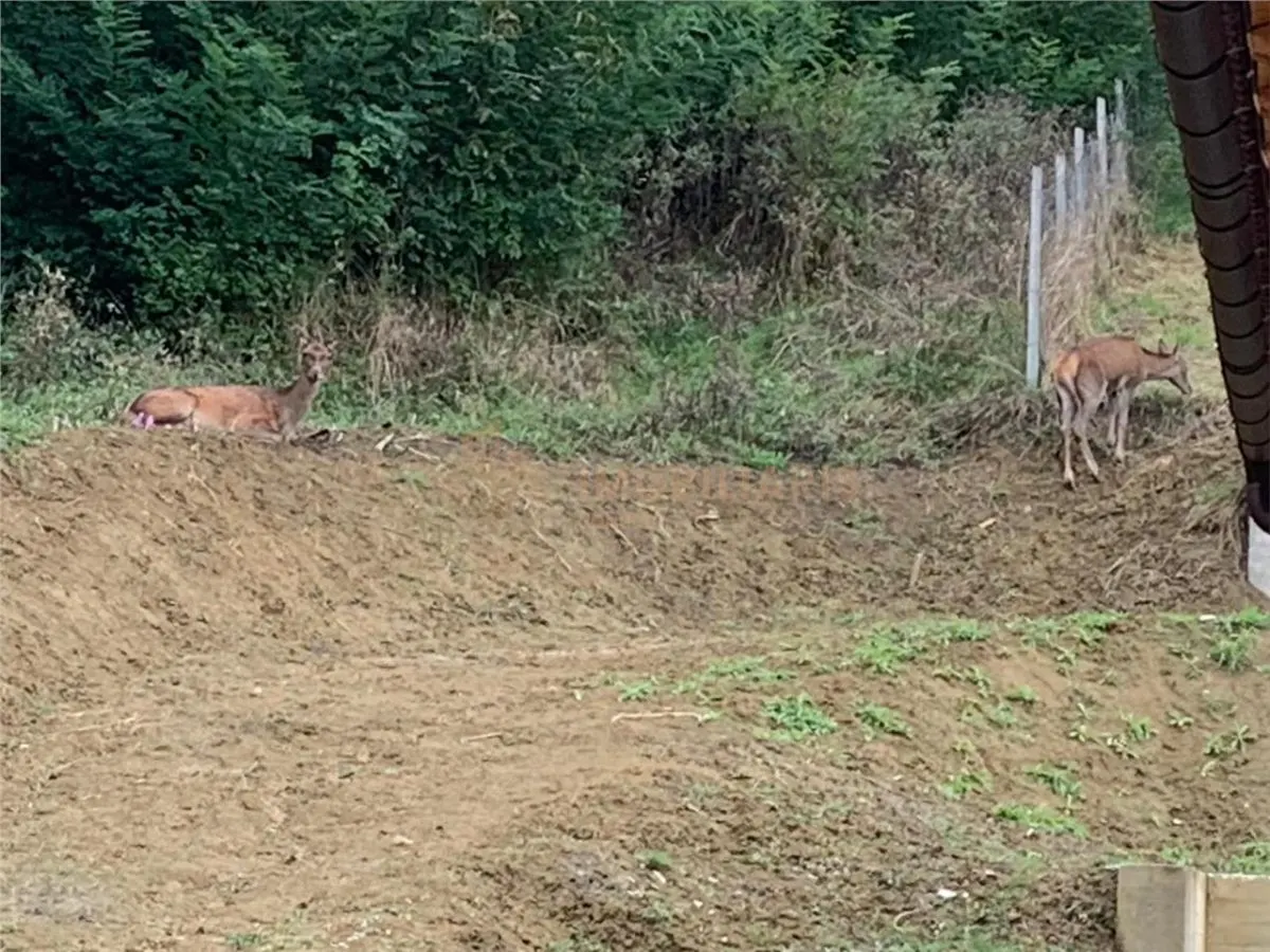 De vanzare- Duplex Tautii de Sus - foto 16