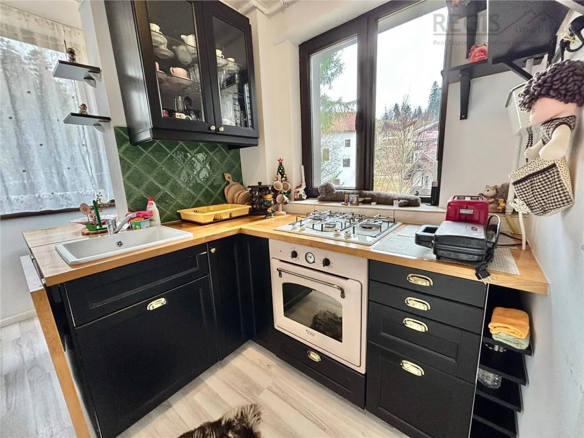 Studio Cochet Predeal - foto 6