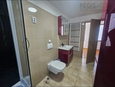 Casa 5 camere de inchiriat in Florilor - foto 19