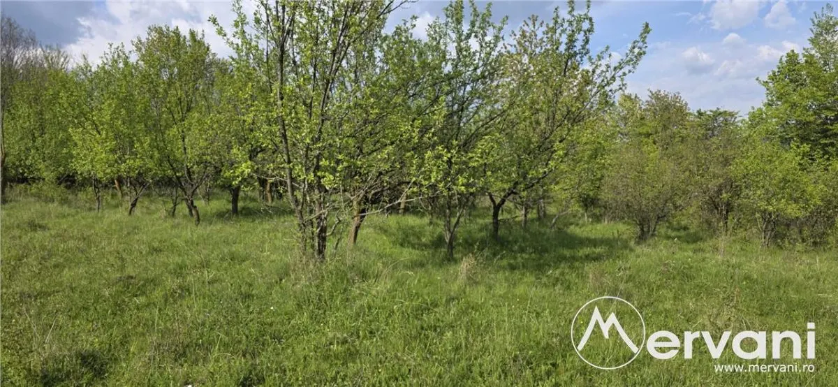 Teren de vanzare in Campina - foto 1