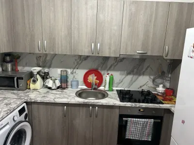 Apartament 1 cameră, Vişan - foto 4