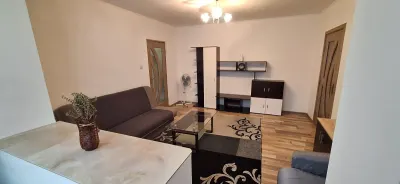 Apartament 2 Camere COPOU - 460 euro - foto 3