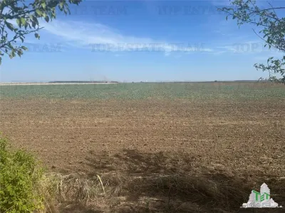 Vanzare teren intravilan construibil, in Branesti-Ilfov, 1330 mp, ideal rezidenta sau investitie - Branesti