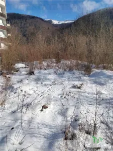 Teren Intravilan Sinaia Calea Calarasi 4034 mp, zona exclusivista, investitie majora - Sinaia
