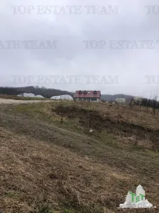 Casa de vanzare in Stanomiru  Judetul Valcea cu un teren in suprafata de 320000 mp - Stanomiru