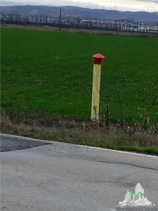 Teren Extravilan in Prahova - foto 4