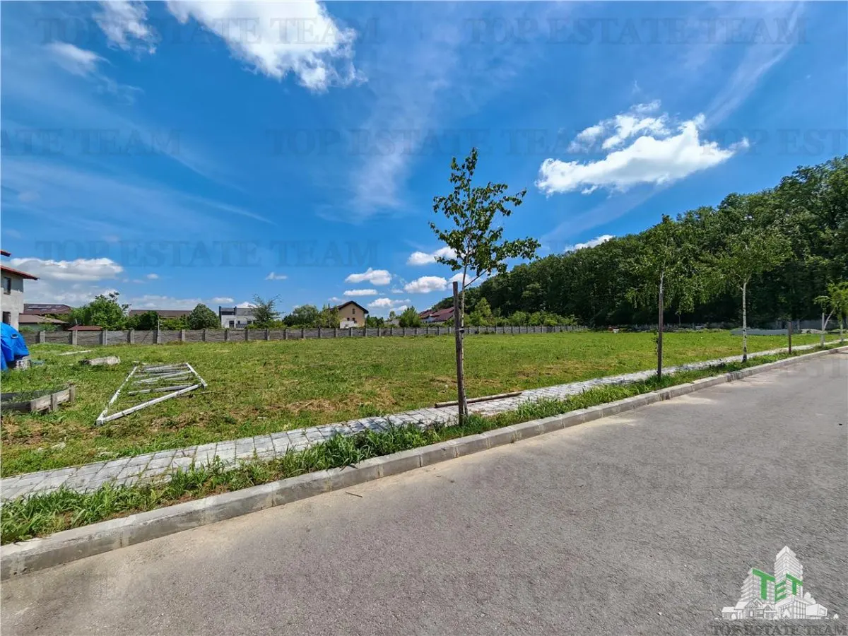 Teren constructii in proximitatea Padurii Corbeanca - foto 1