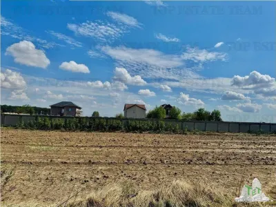 Teren de vanzare lotizat la padure cu utilitati in Frumusani / Calarasi - Frumusani