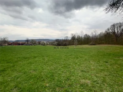 10 000 mp teren intravilan cu priveliste - Tebea