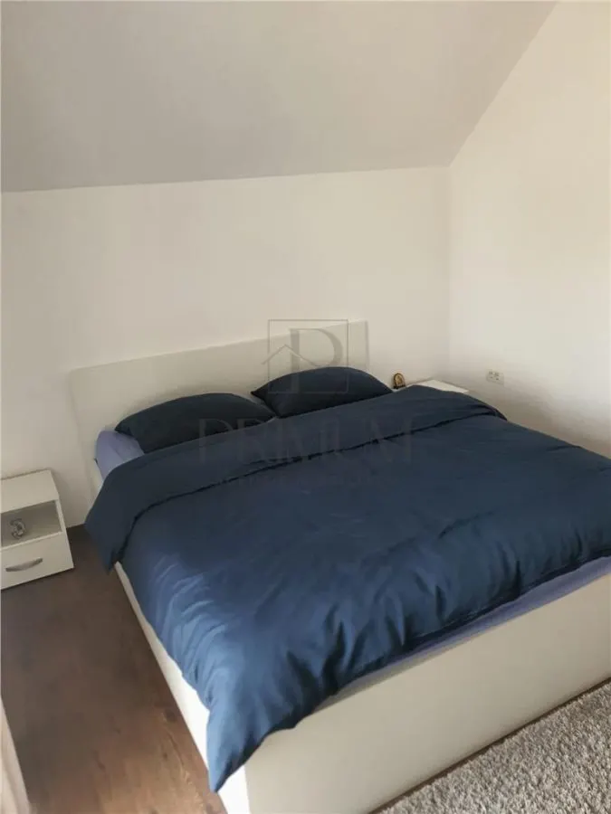FREIDORF, CASA 4 CAMERE P+1E+POD, 2 BAI, DRESSING, CONSTRUCTII ANEXE - foto 6