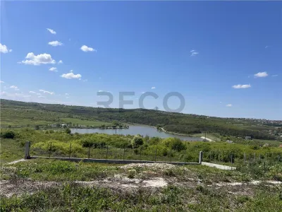 RECO Casa 3 camere lux in Paleu - foto 7