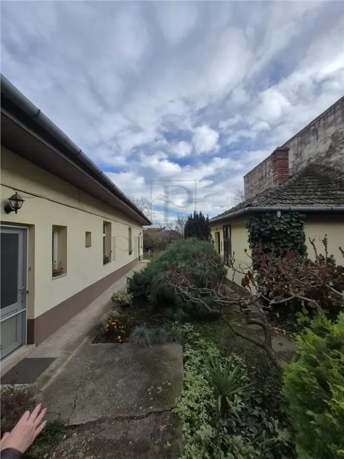 CALEA BUZIAS, 2 CASE INDIVIDUALE CU TEREN GENEROS - foto 1