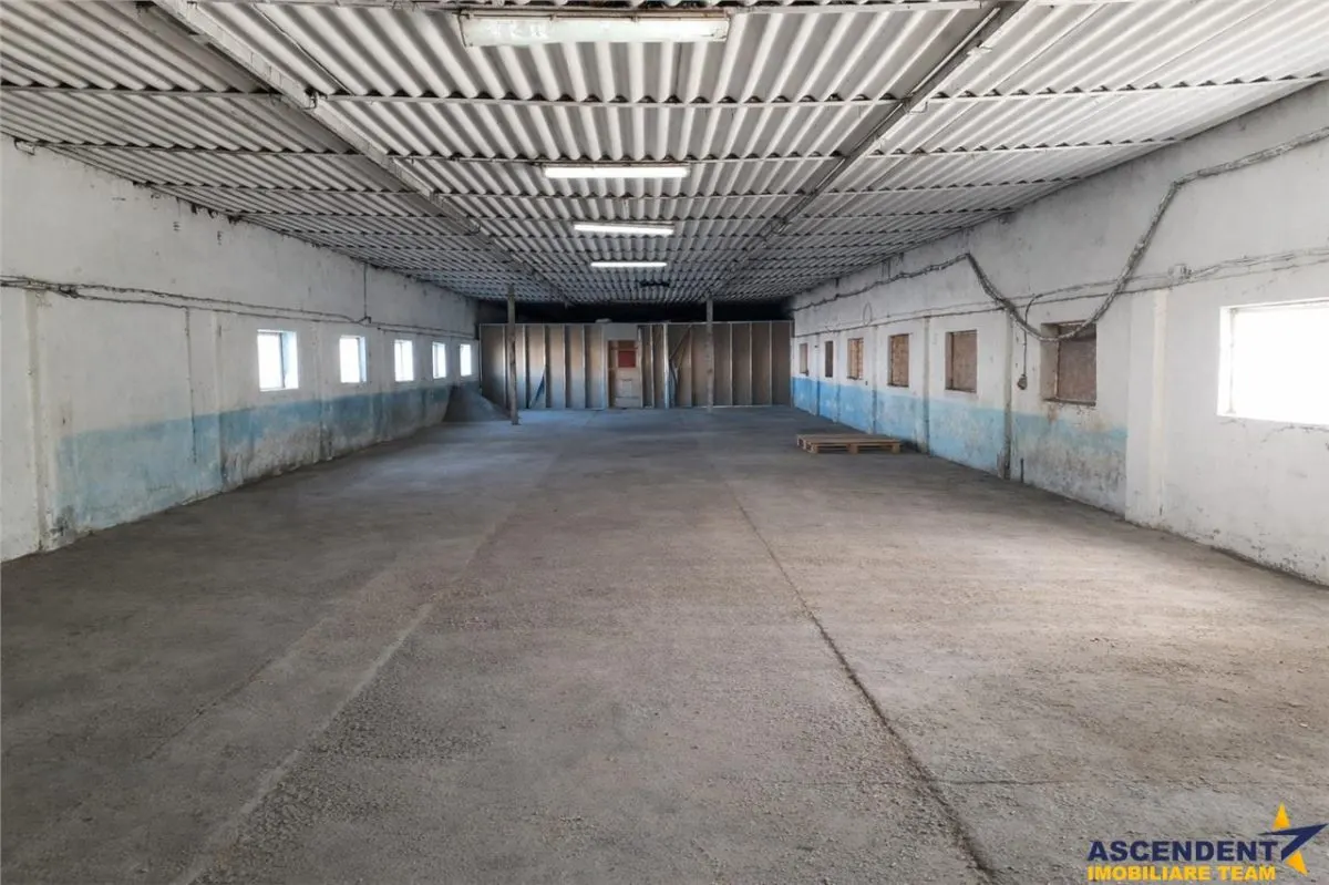 Hala industriala versatila,spatii cazare, platforma betonata,Halchiu,Brasov - foto 2