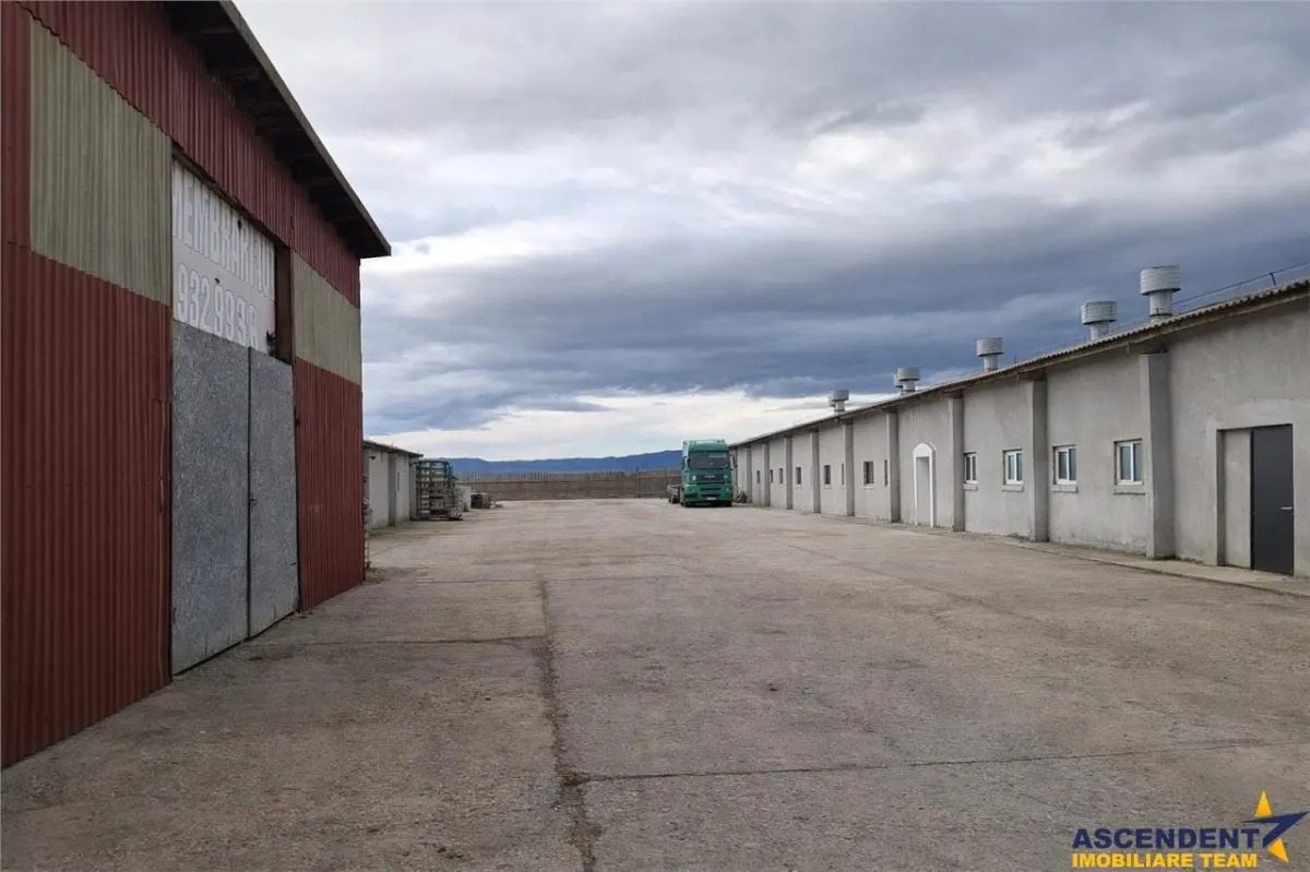 Hala industriala versatila,spatii cazare, platforma betonata,Halchiu,Brasov - foto 12