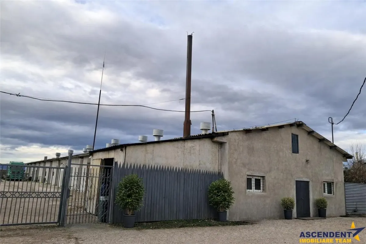 Hala industriala versatila,spatii cazare, platforma betonata,Halchiu,Brasov - foto 13