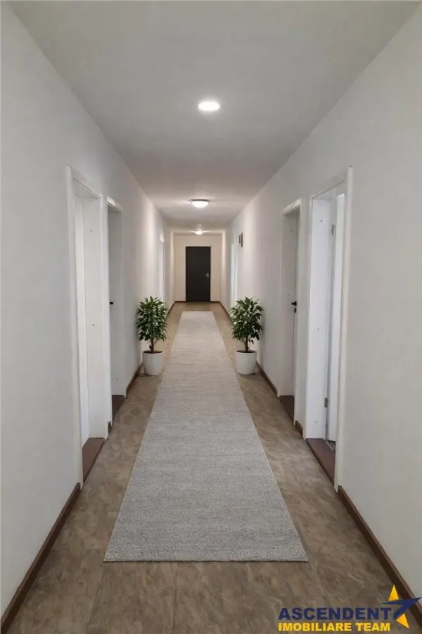 Hala industriala versatila,spatii cazare, platforma betonata,Halchiu,Brasov - foto 4