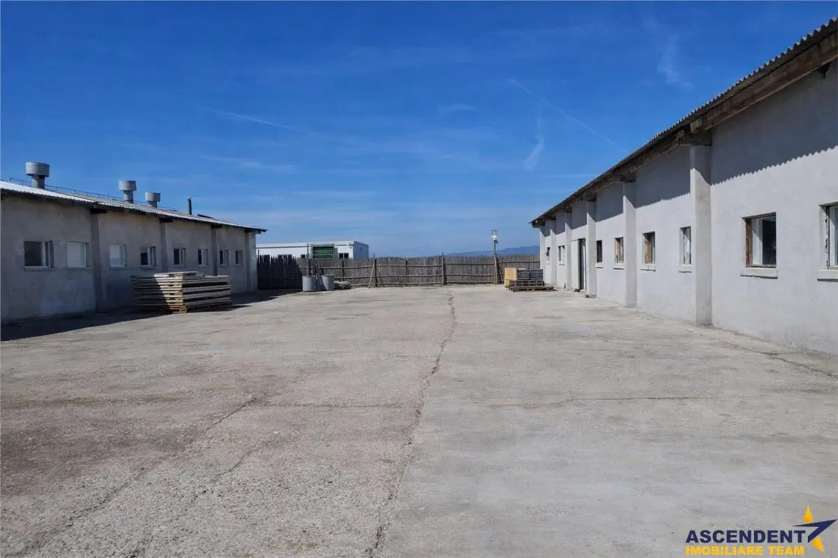 Hala industriala versatila,spatii cazare, platforma betonata,Halchiu,Brasov - foto 5
