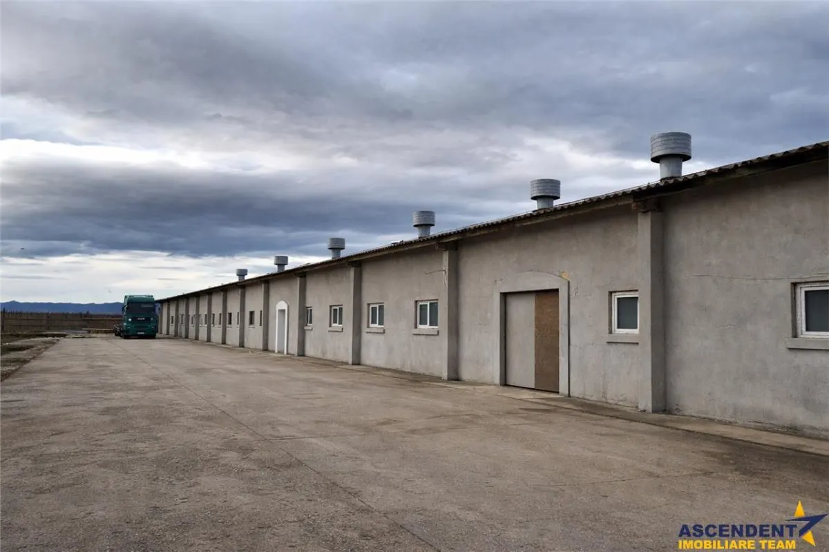 Hala industriala versatila,spatii cazare, platforma betonata,Halchiu,Brasov - foto 6
