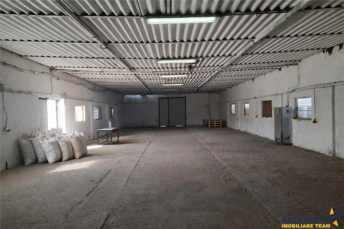Hala industriala versatila,spatii cazare, platforma betonata,Halchiu,Brasov - foto 10