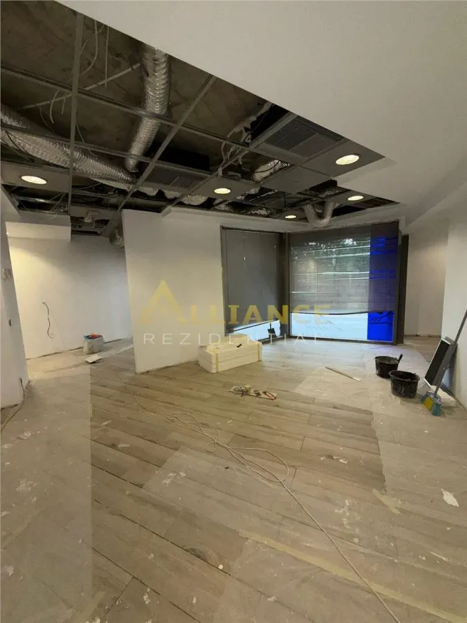 Spatiu Comercial - Parcul carol - foto 12