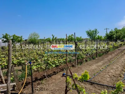 Teren in Poienari Apostoli, 21 E/mp, Avantajos, DN1, 34.500 euro - foto 2