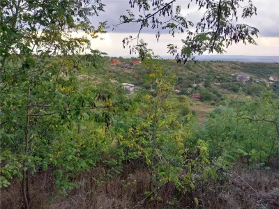 RECO Teren cu panorama 2350mp Podgoria - Oradea