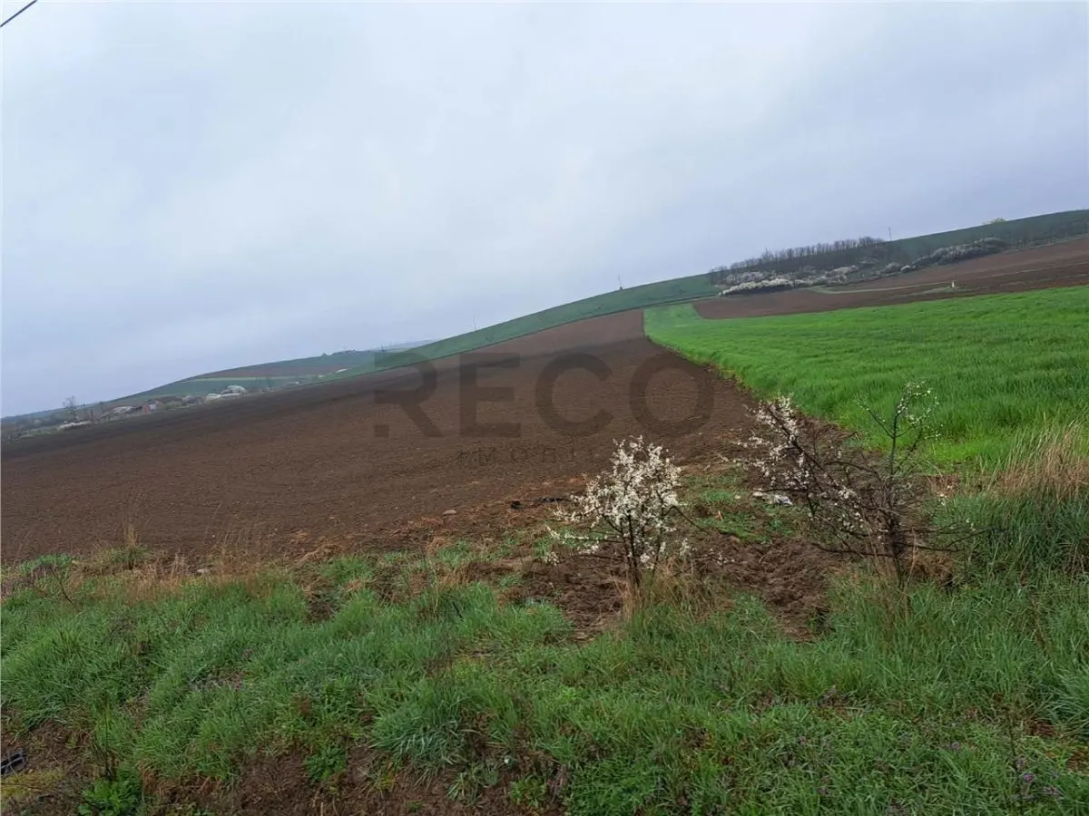 RECO teren Ghenetea 7800mp - foto 2